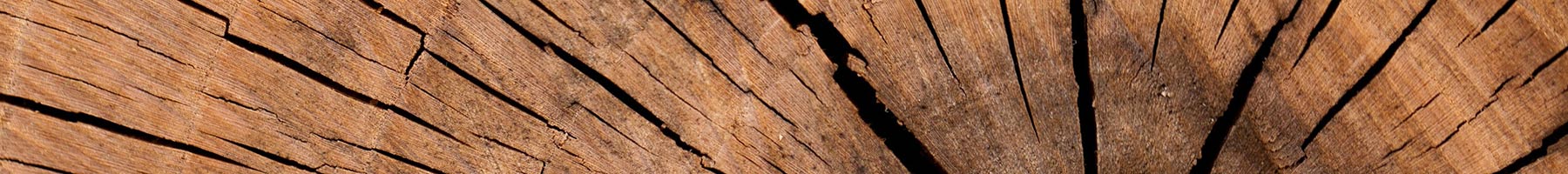Naturbaustoff Holz für Bodenbeläge